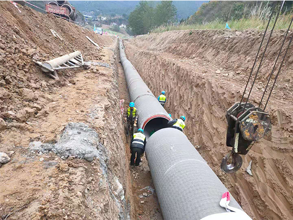 广元市西湾水厂取水迁建工程项目